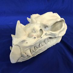 dragon skull on blue