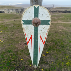 medieval shield in mountainous field