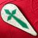 white shield with green cross